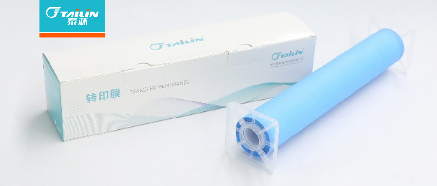 泰林 Immutailin? PVDF轉(zhuǎn)印膜新品上市