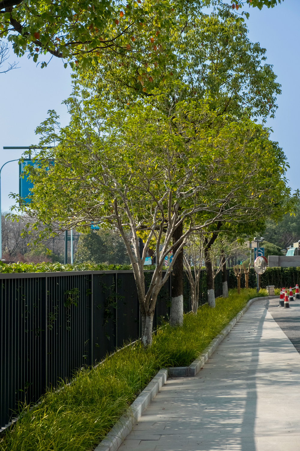 17366608366042719PmF.jpg 綠植圍墻.jpg